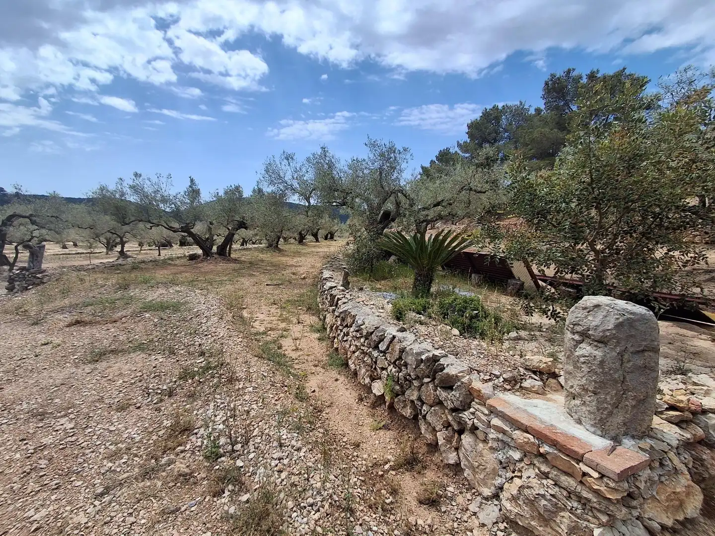 Terreno rustico in vendita a El Perelló, imagen 46