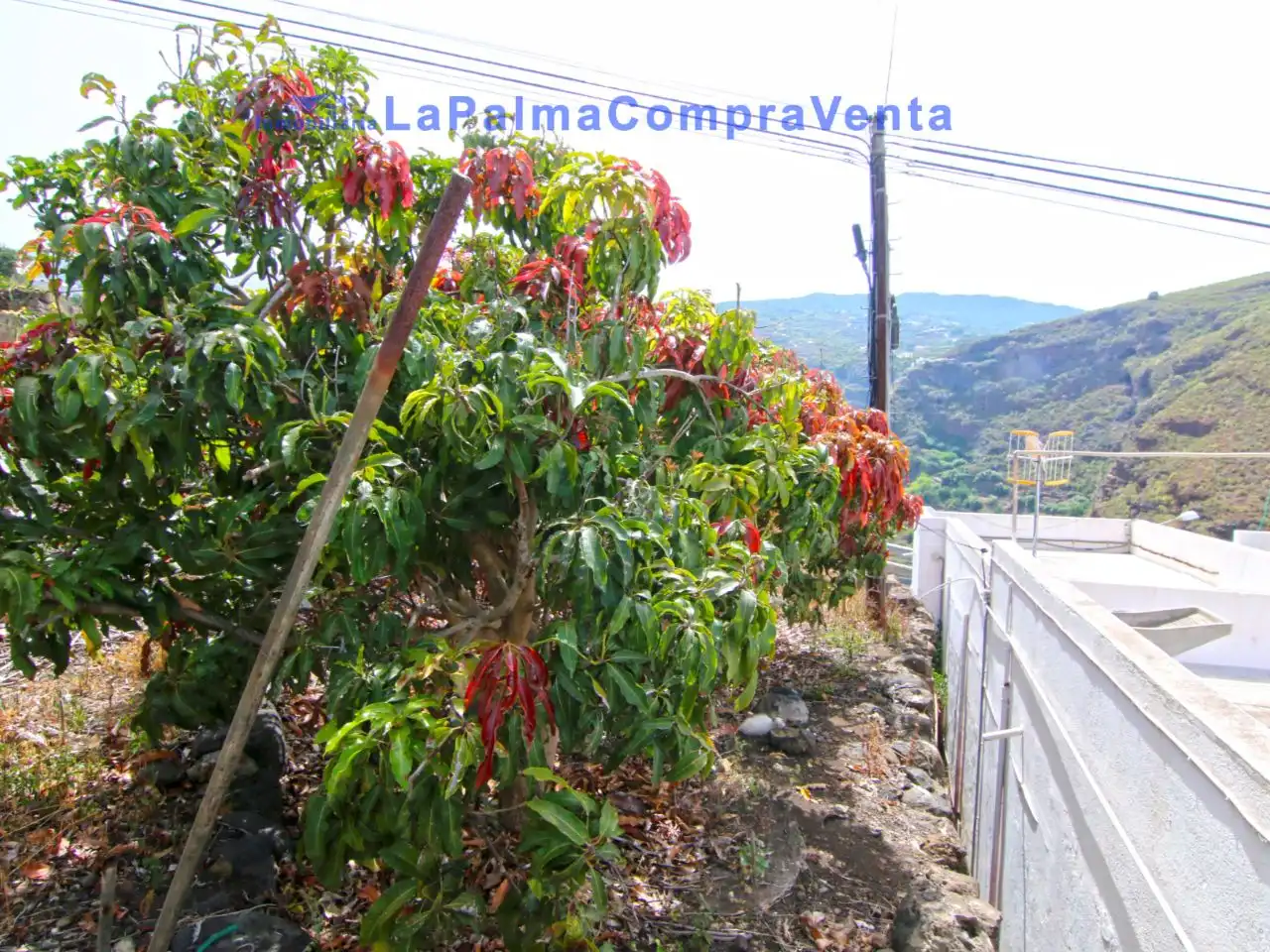 Jardín de Terreno en venta en San Andrés y Sauces