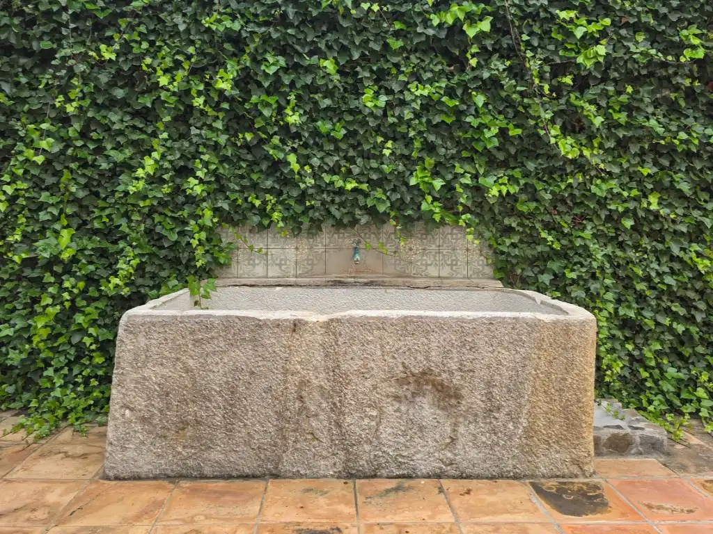 Jardín de Casa o chalet en venta en Espolla con Amueblado