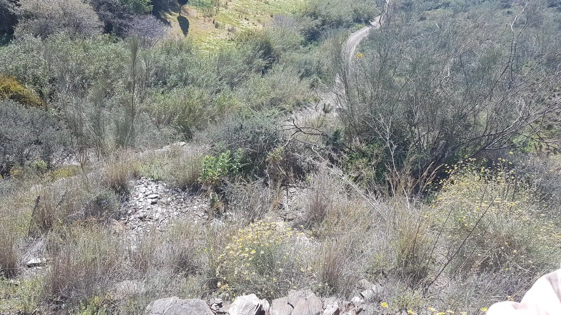 Terreni e lotti in vendita a Los Rueda, imagen 9