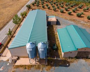 Vista exterior de Terreny en venda en Cogollos de Guadix