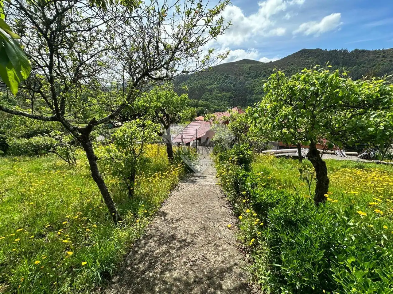 Casa o chalet en venta en A Lama   con Calefacción, Jardín privado y Piscina