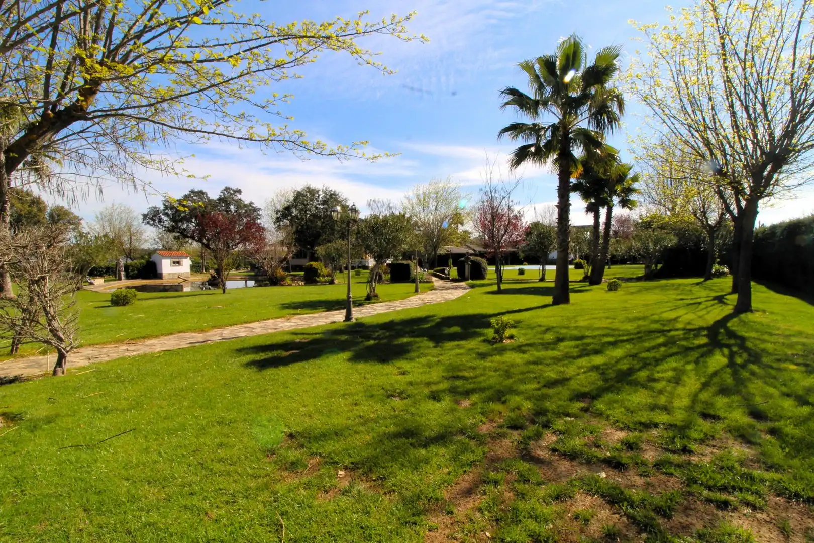 Casa con piscina en venta en Carretera de Sevilla - Los Montitos, imagen 46