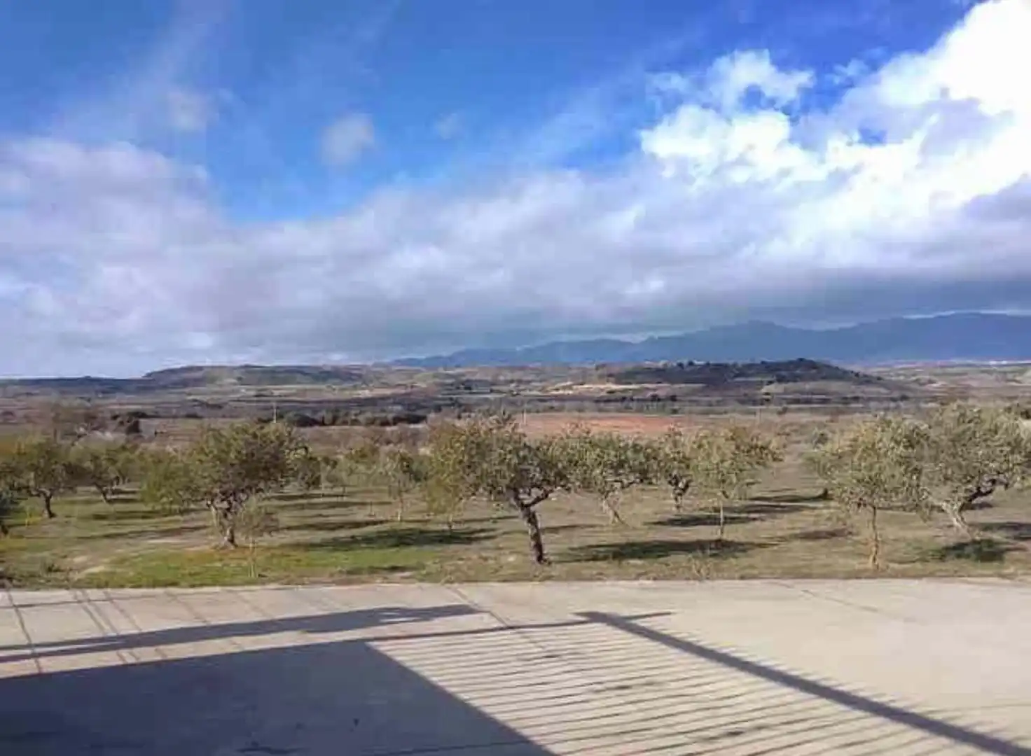 Nave industrial en venta en El Cortijo, imagen 7