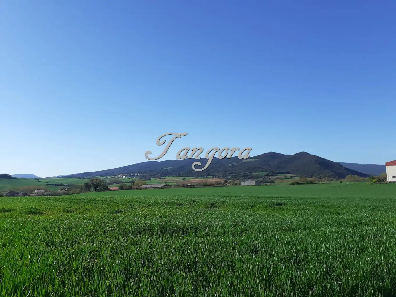 Industrial land for sale in La Puebla de Arganzón 