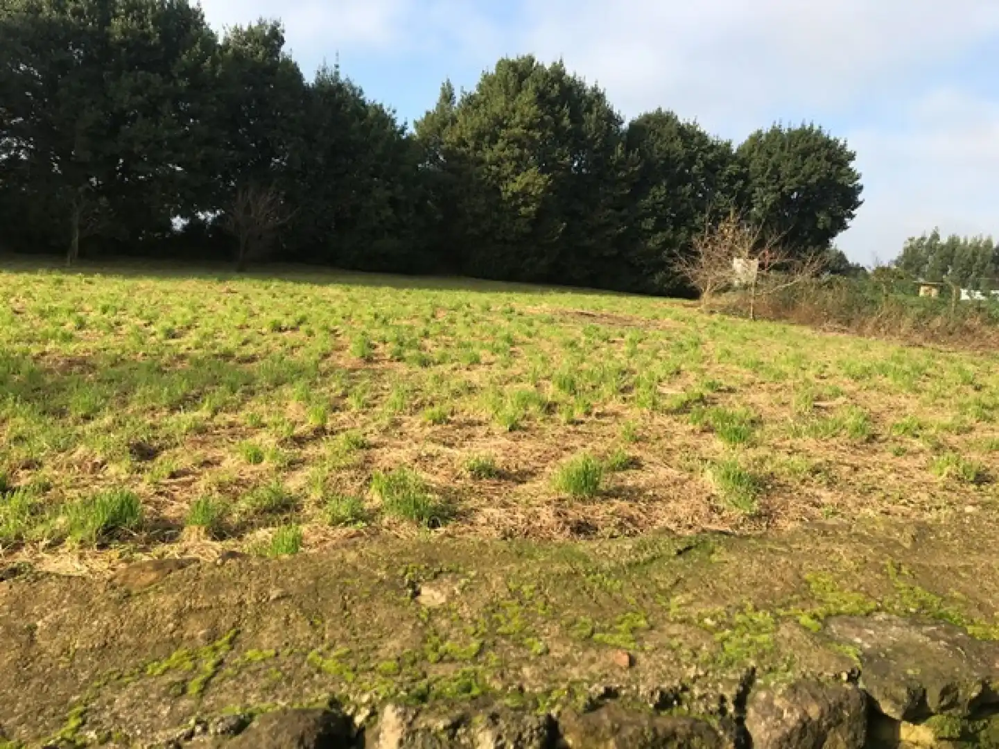 Terreno residenziale in vendita a Verdicio - Bañugues - Cabo Peña, imagen 3