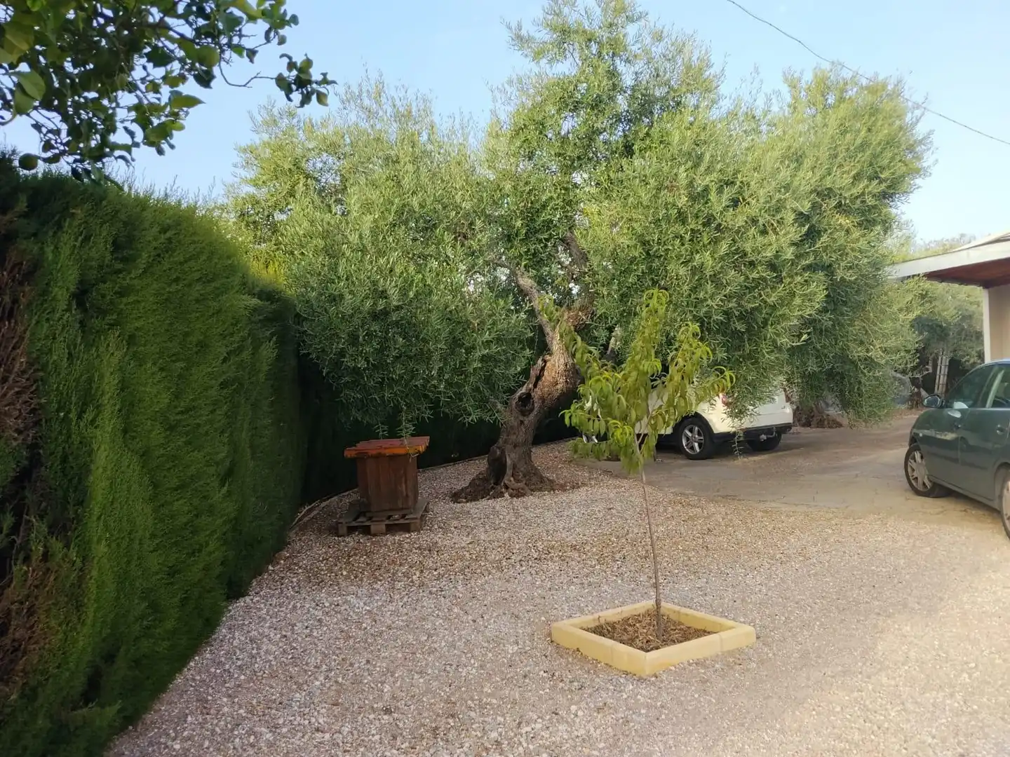Jardí de Finca rústica en venda en La Carlota amb Piscina