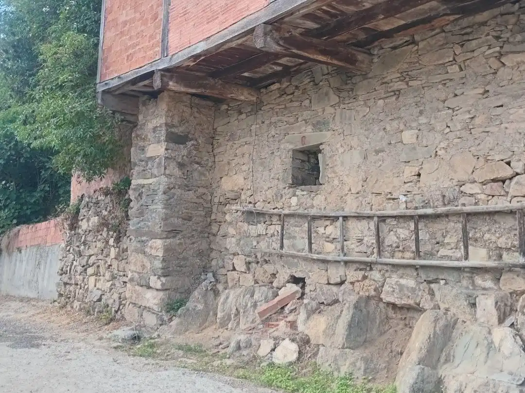 Vista exterior de Casa o xalet en venda en Tineo amb Terrassa