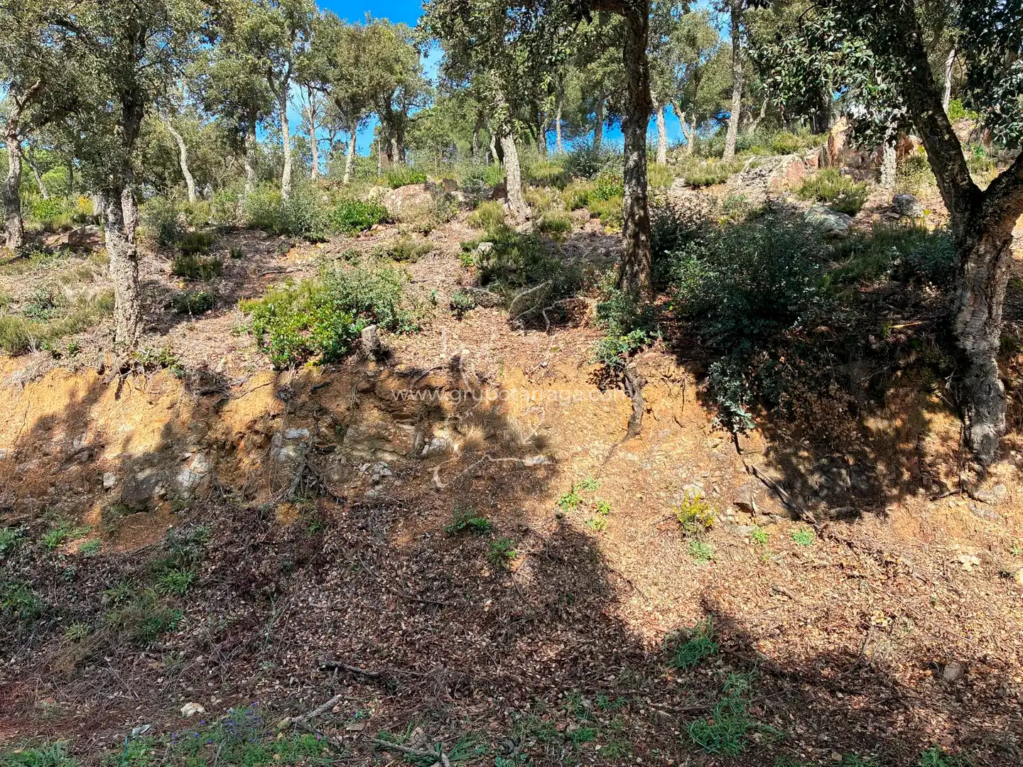 Terreno residencial en venta en Carrer Pollancre 43, imagen 4