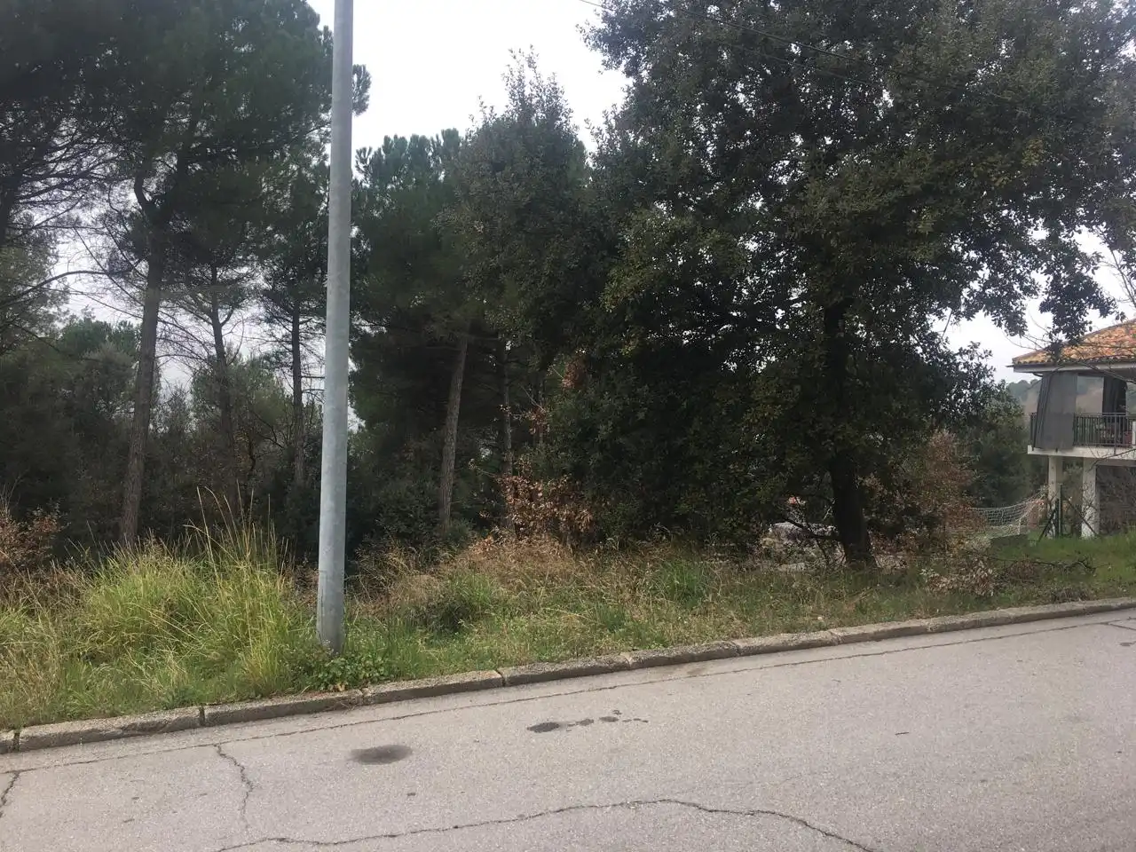 Terreni e lotti in vendita a Seva