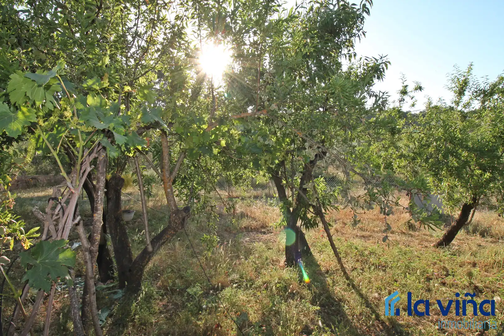 Finca rústica en venta en Archidona con Jardín privado, Trastero y Piscina