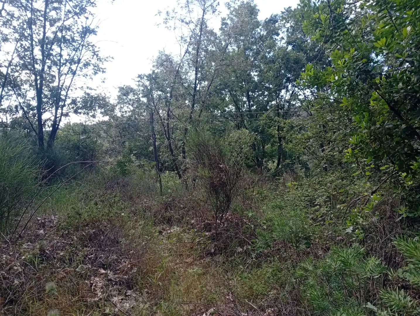 Terreni e lotti in vendita a Losar de la Vera, imagen 12