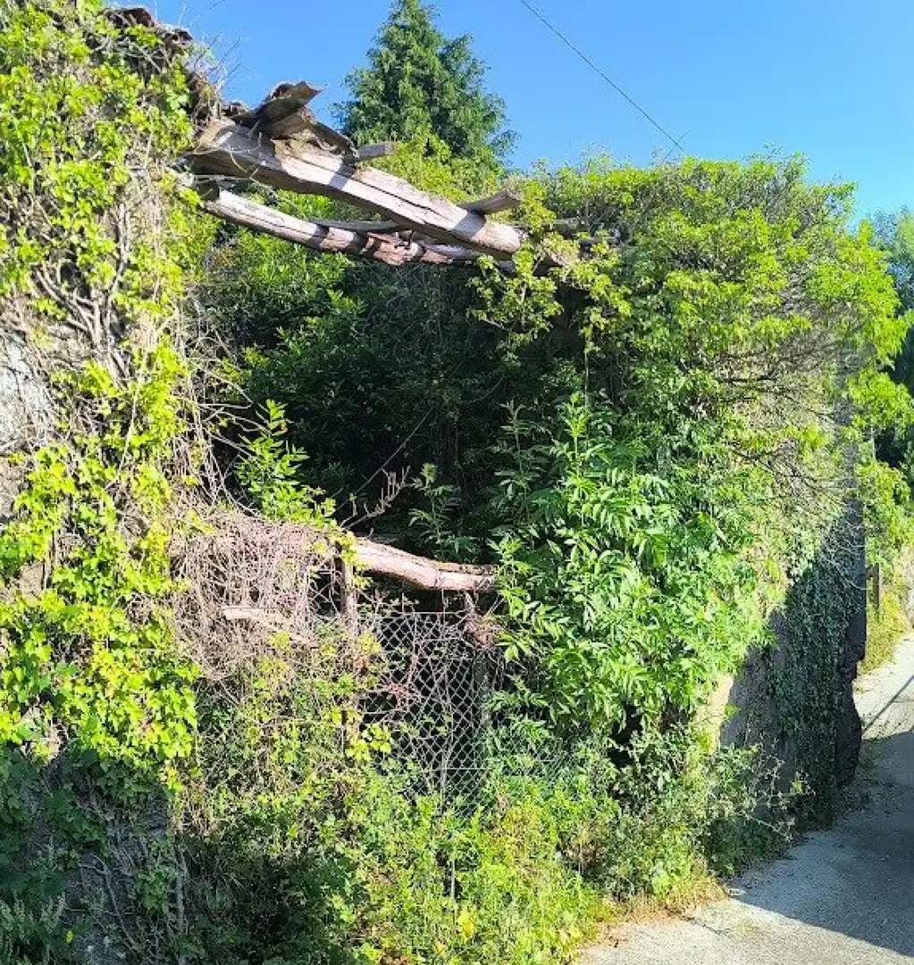 Casa o chalet en venta en Negreira