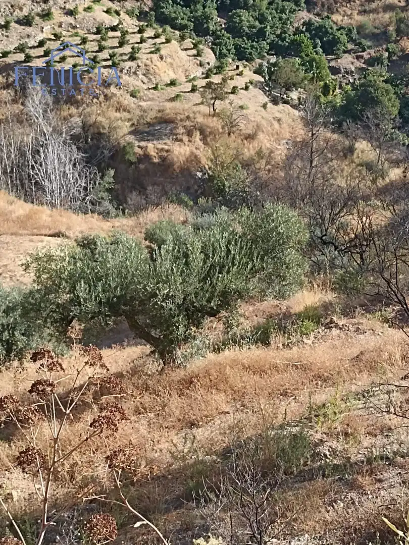 Terreni e lotti in vendita a El Rescate - Río Seco, imagen 4