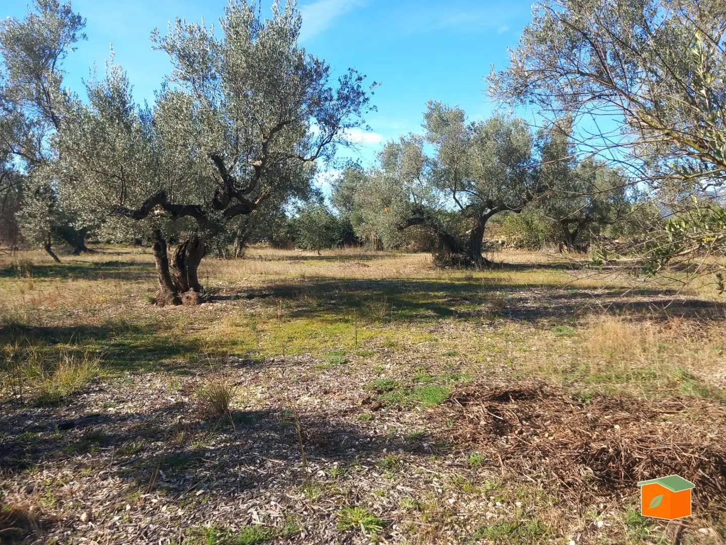 Terreno rustico in vendita a Mas de Barberans, imagen 15