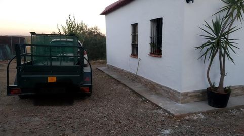Foto 3 de Finca rústica en venta en Polígono Polígono 9 Paraje 60 Higueron, 15, Cantillana, Sevilla