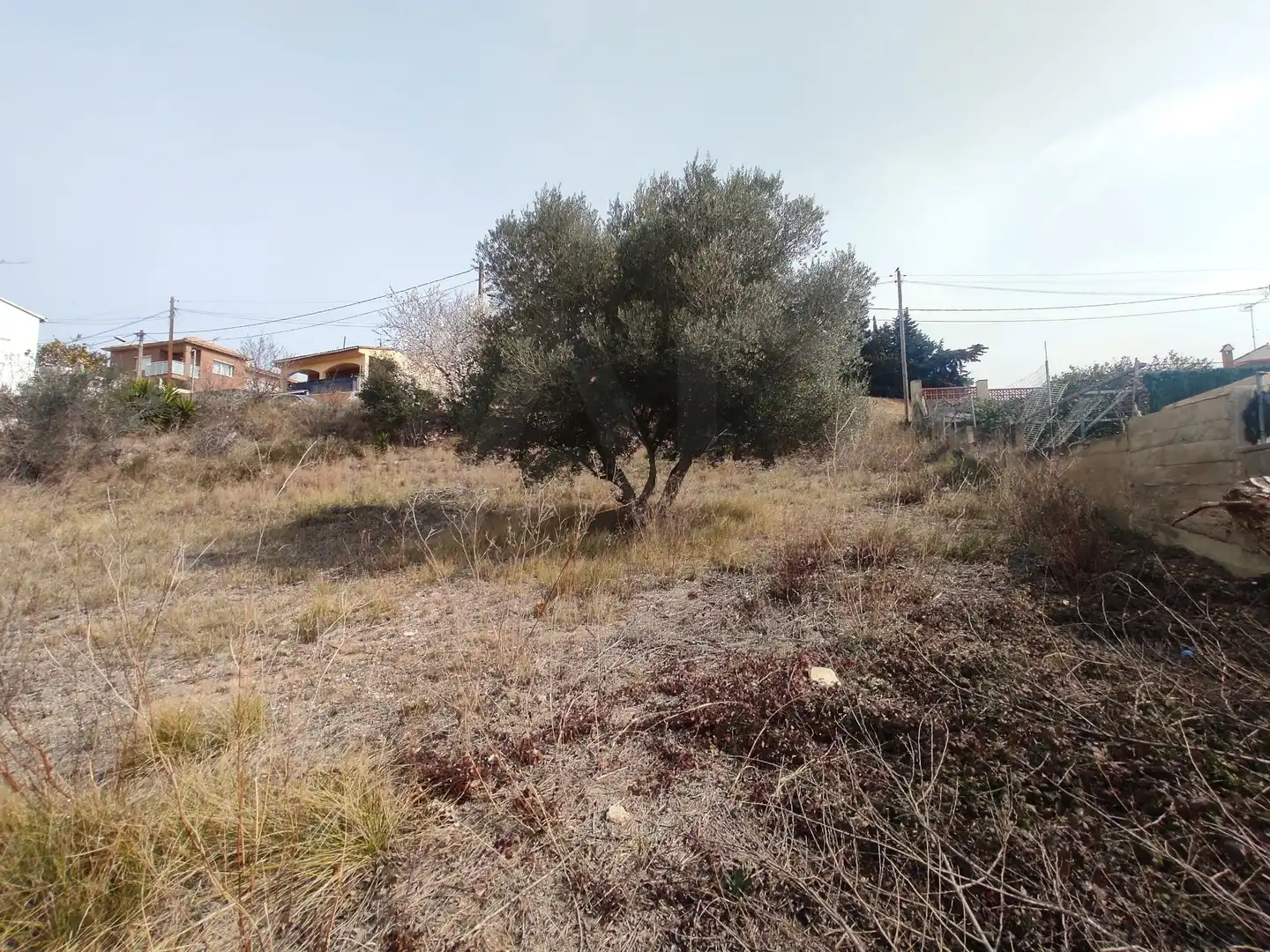 Terrenys i solars en venda a La Bisbal del Penedès, imagen 28