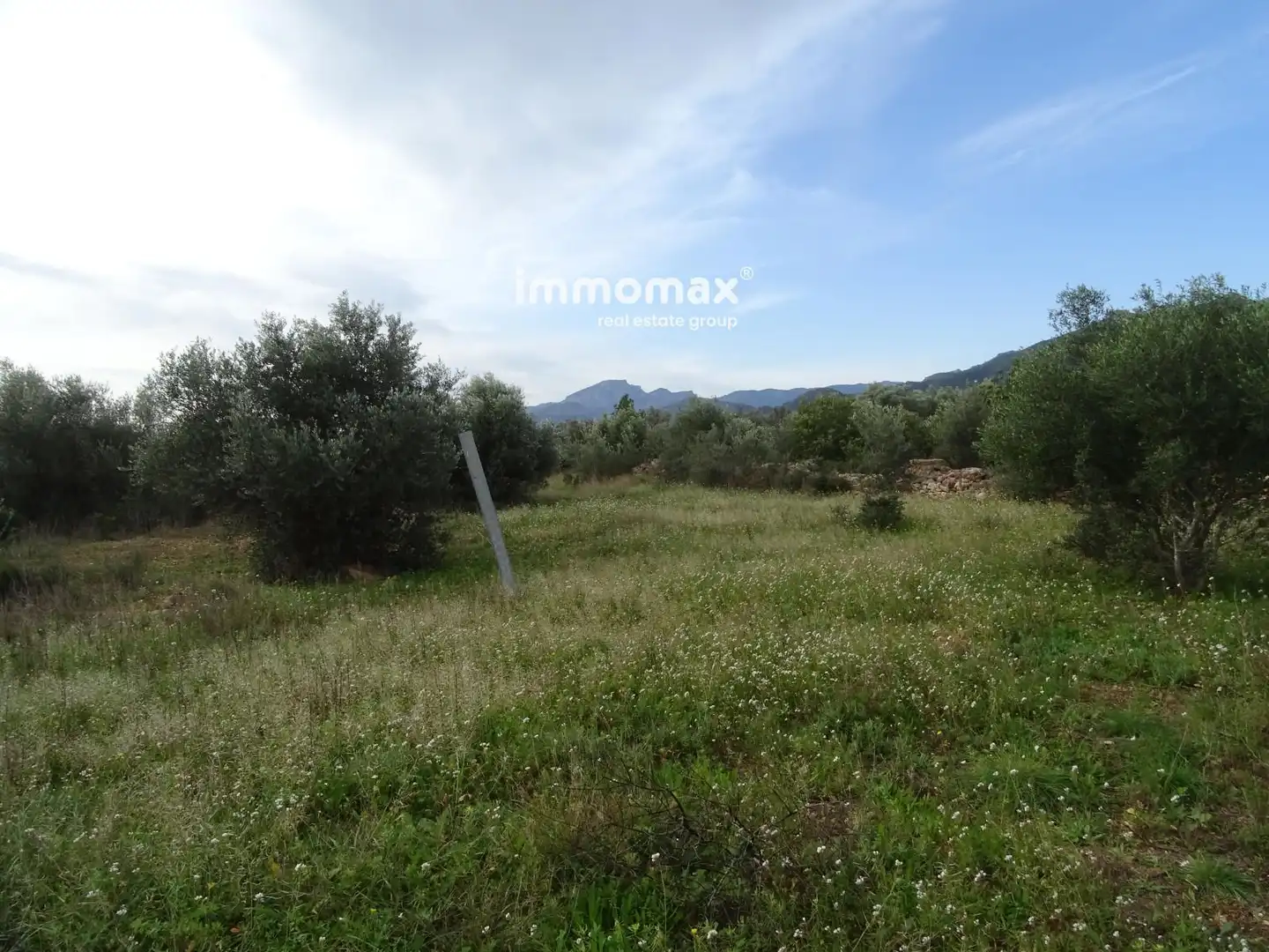 Terrain résidentiel à vendre à 16, imagen 6