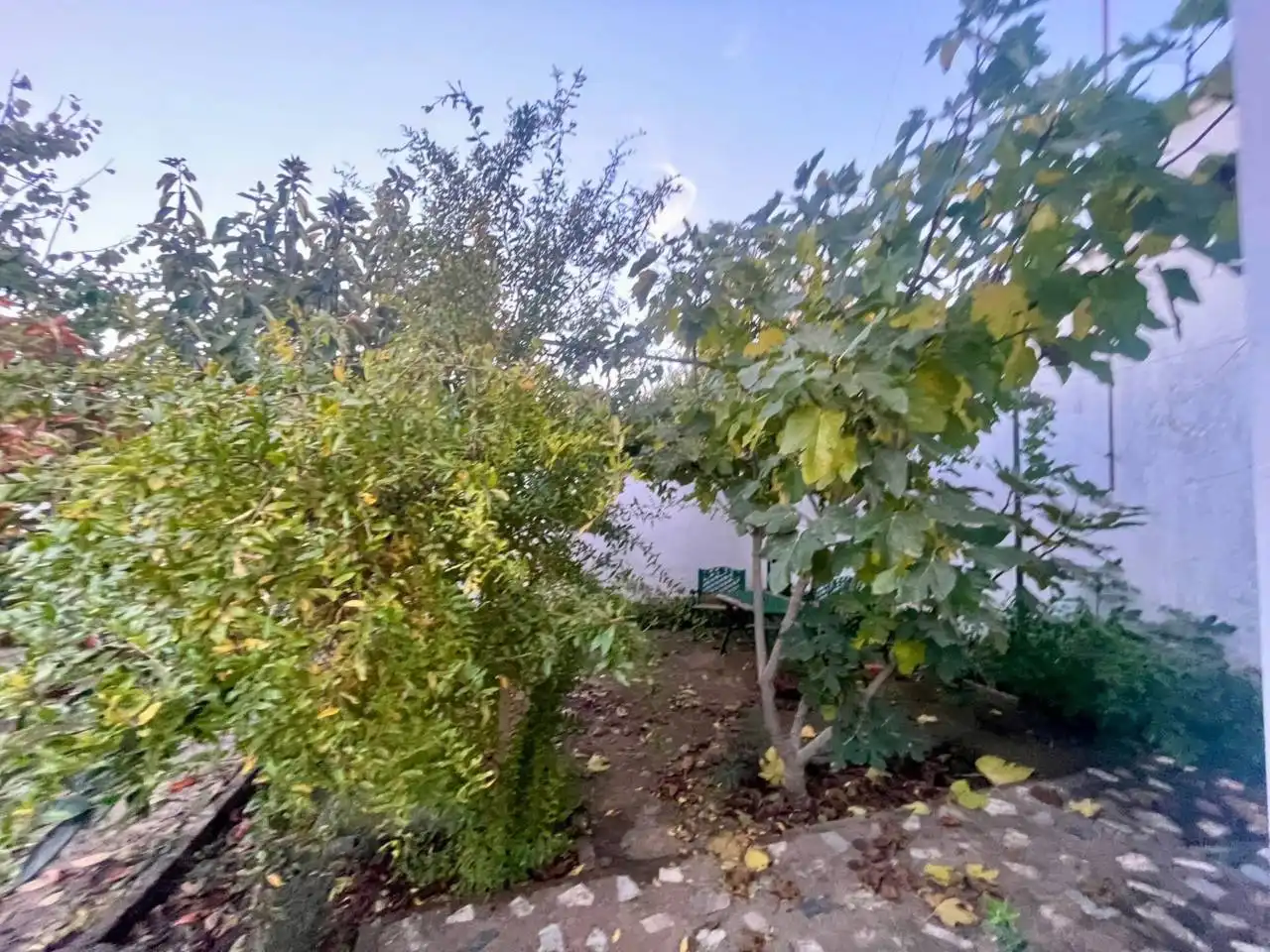Garden of Houses for sale in Don Benito  with Private garden