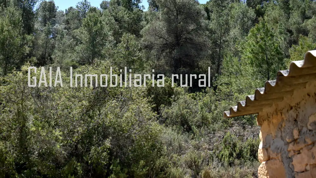 Finca rústica en venta en Mazaleón
