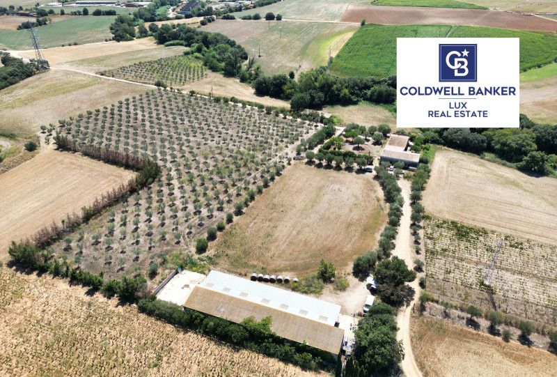House or chalet for sale in Siurana