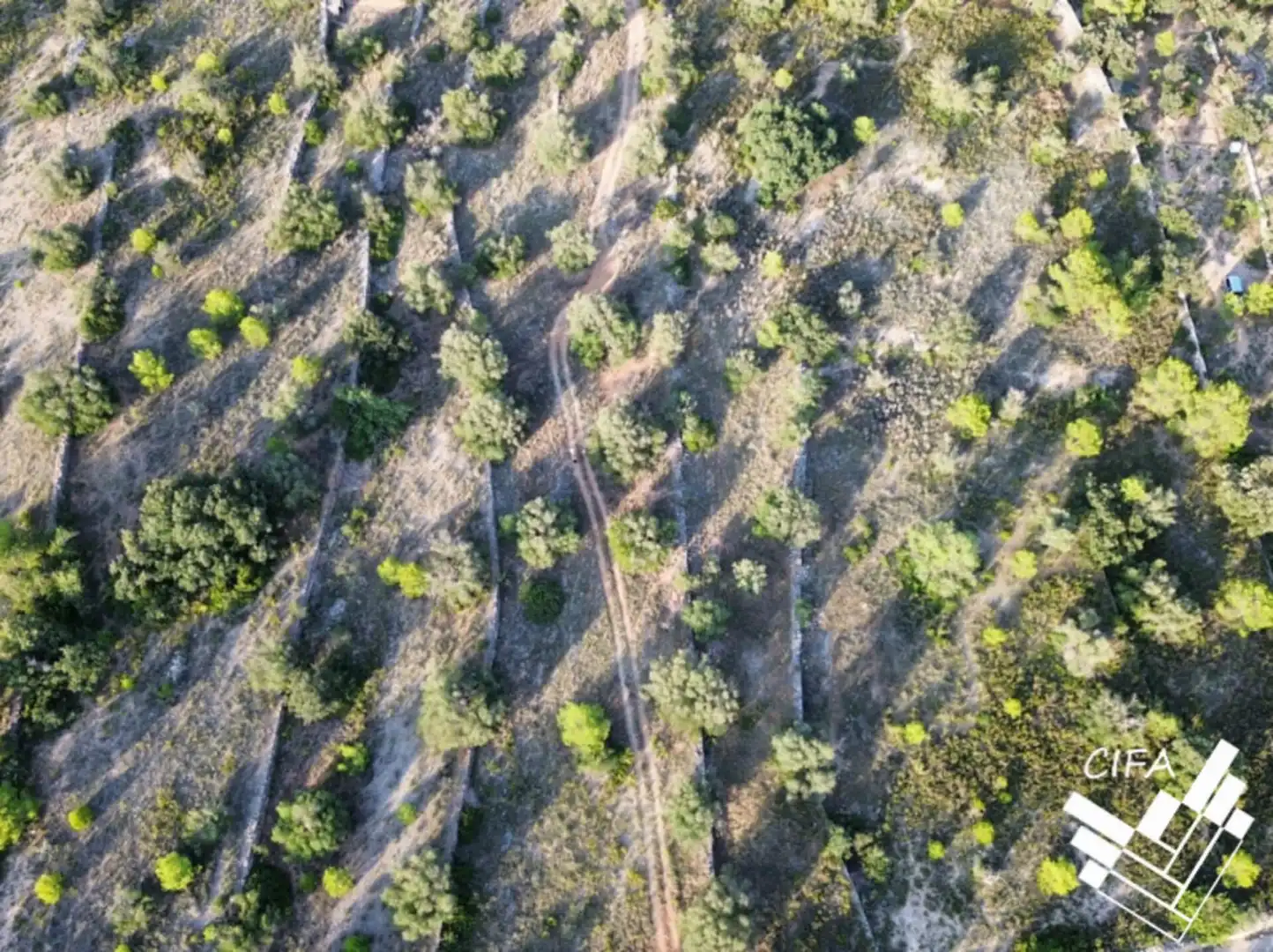 Terreno rustico in vendita a 14, imagen 7