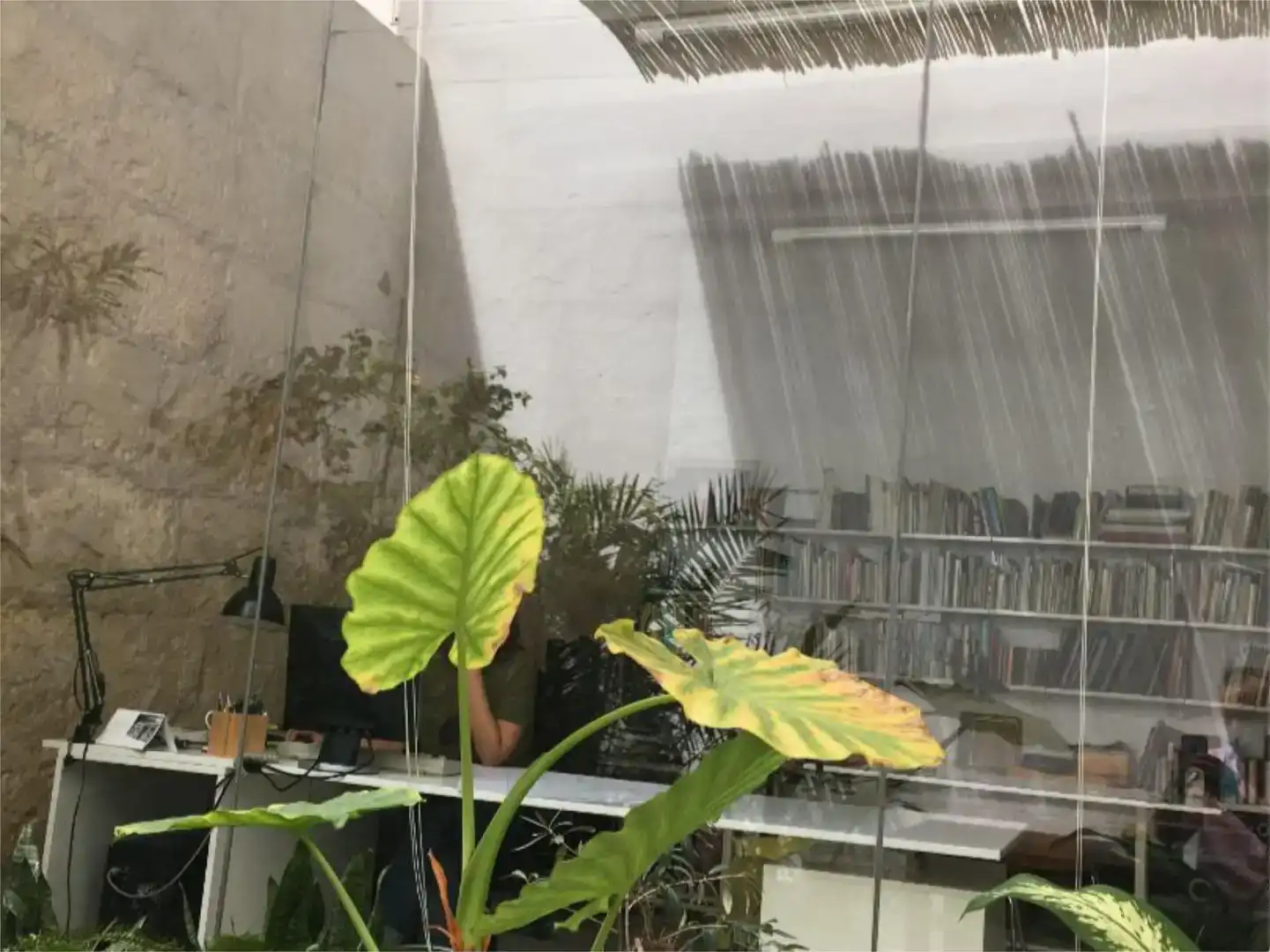 Jardí de Oficina de lloguer en  Palma de Mallorca