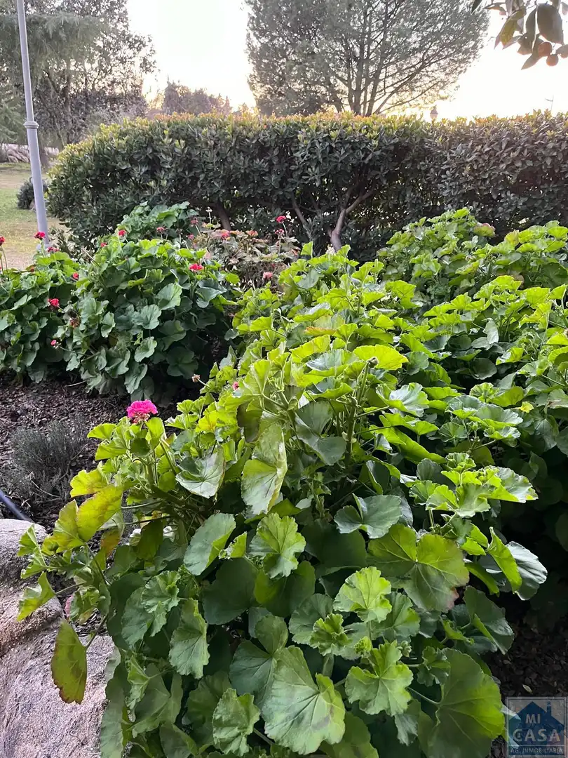 Finca rústica en venta en Trujillanos