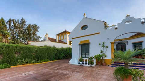 Photo 5 of Houses for sale in Urbanizacion Flor de Loreto, Loreto, Espartinas