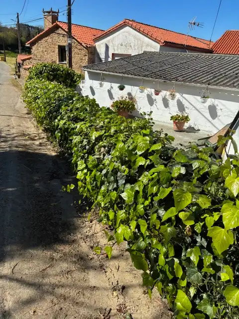 Wohnbaugrundstück zum Verkauf in A Laracha, imagen 32