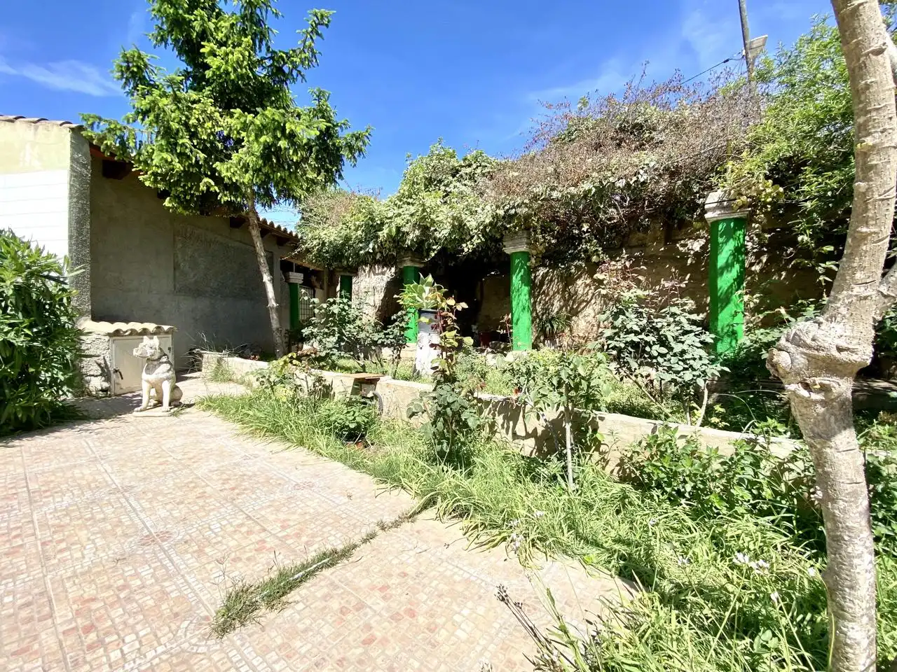 Garten von Haus oder Chalet zum Verkauf in  Palma de Mallorca mit Privatgarten, Terrasse und Abstellraum