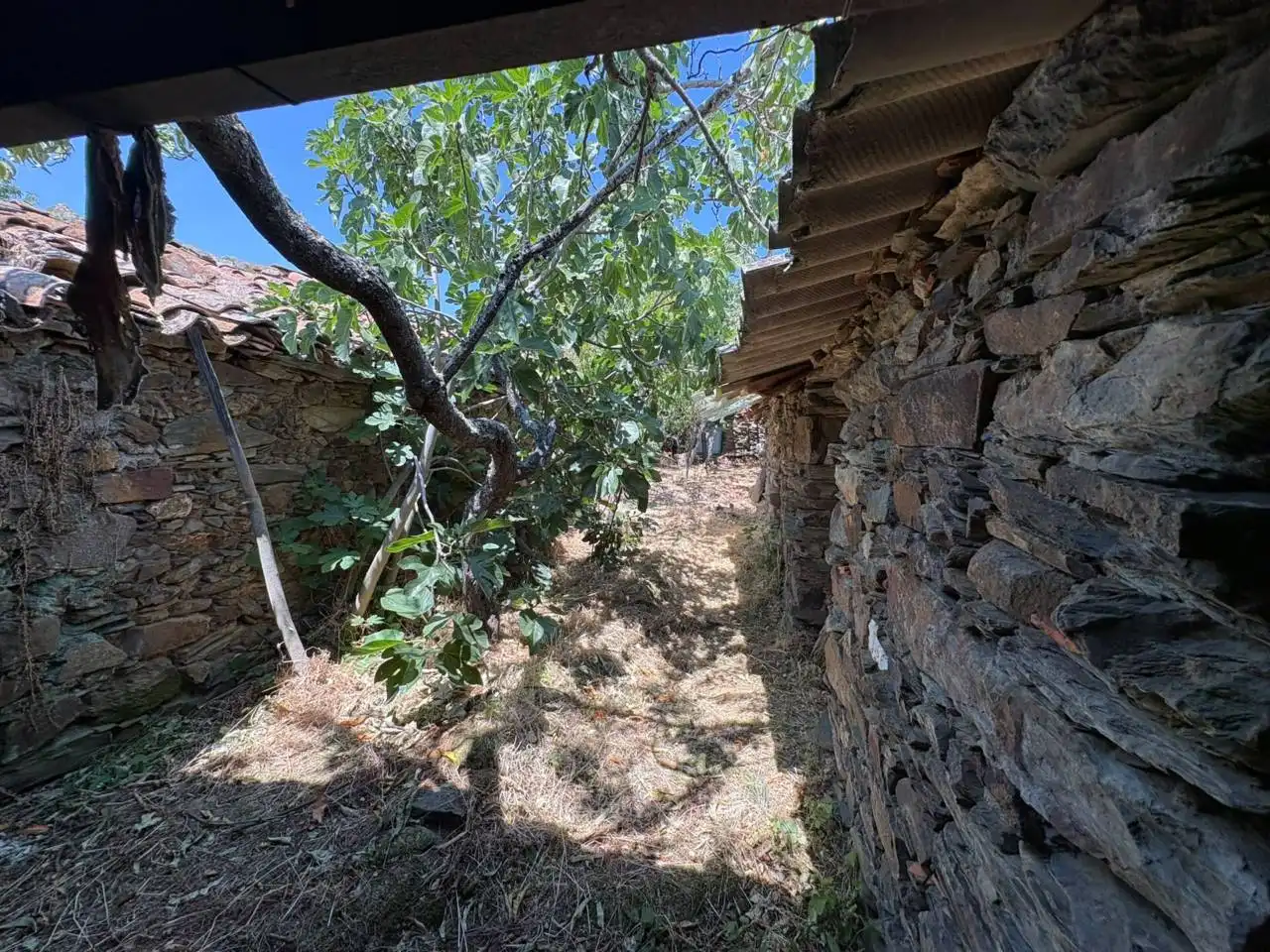Vista exterior de Casa o chalet en venta en Zamarra con Jardín privado