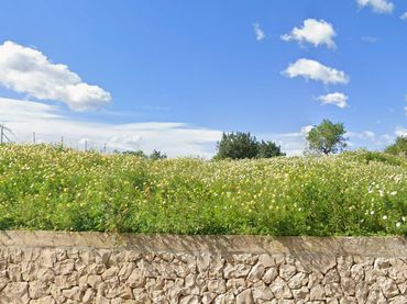 Terreny residencial en venda a Vilafranca de Bonany