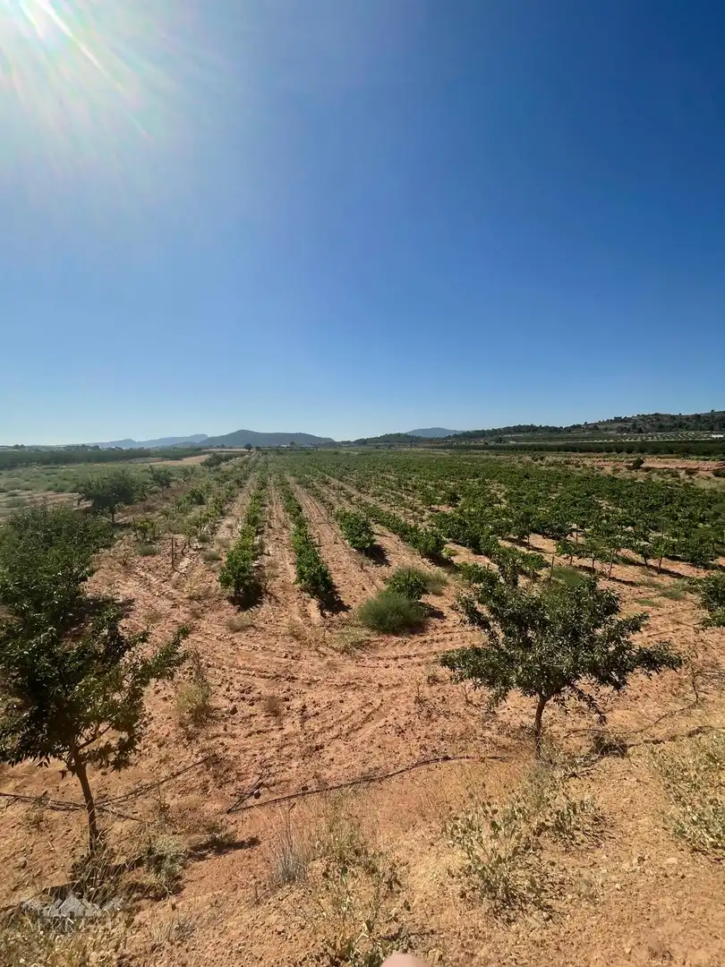 Terreno residencial en venta en El Pinós / Pinoso, imagen 16