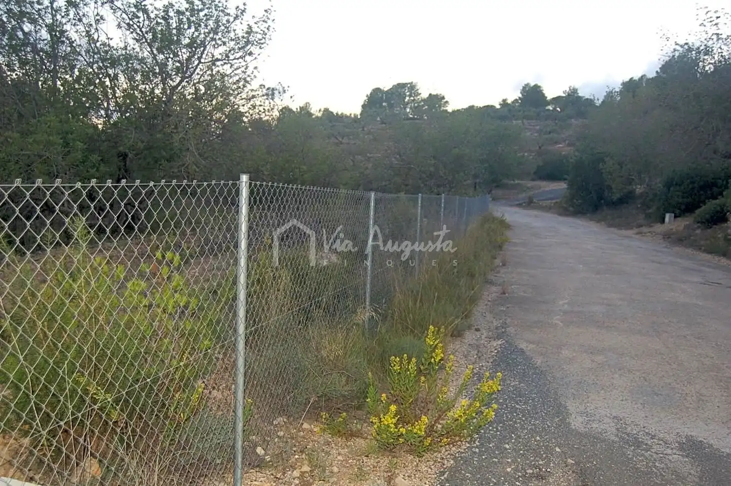 Terreno rustico in vendita a Suis, imagen 16
