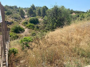 Terrain résidentiel à vendre à Riba-roja de Túria