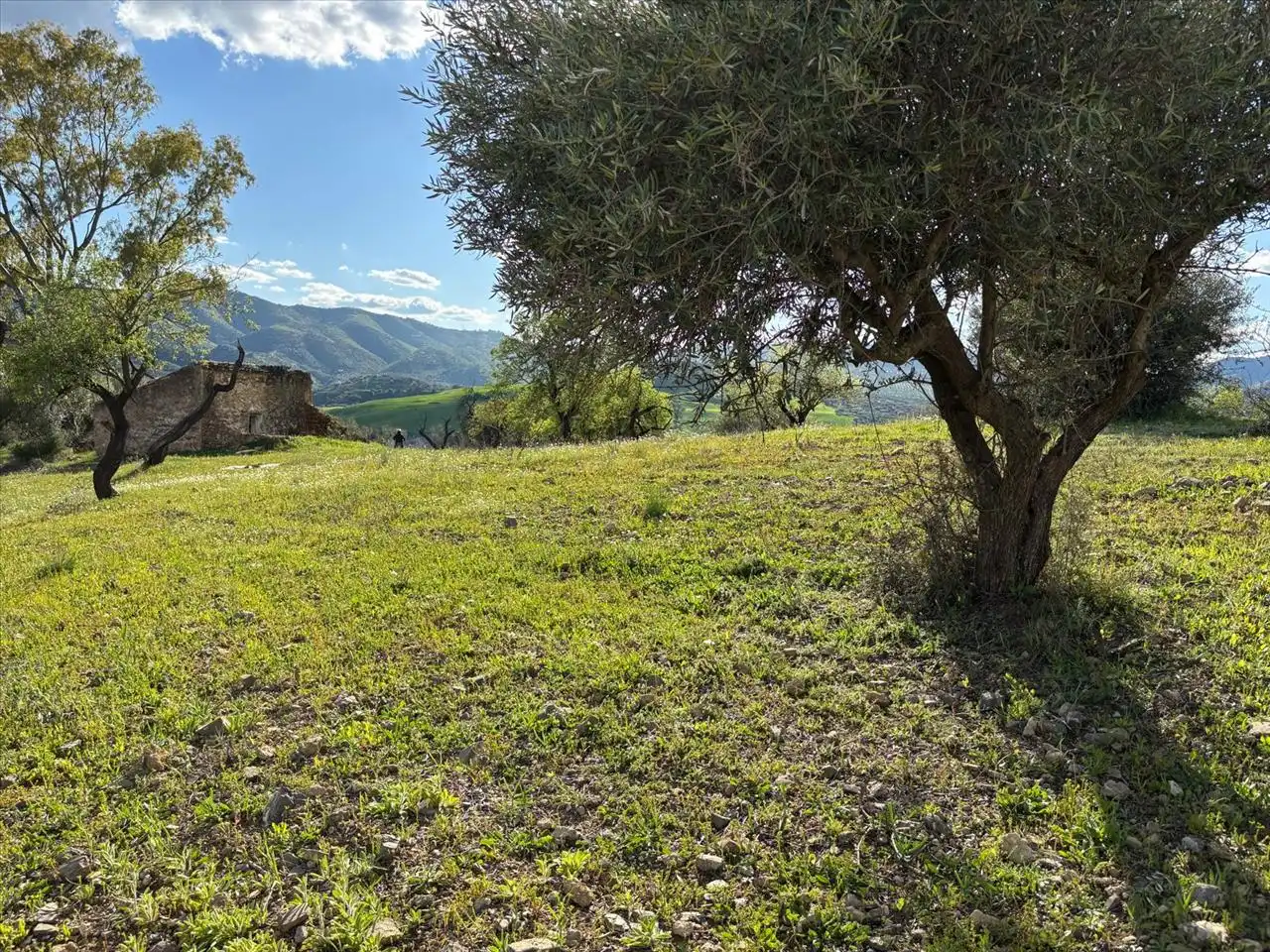 Terreni e lotti in vendita a Majiaza, imagen 4