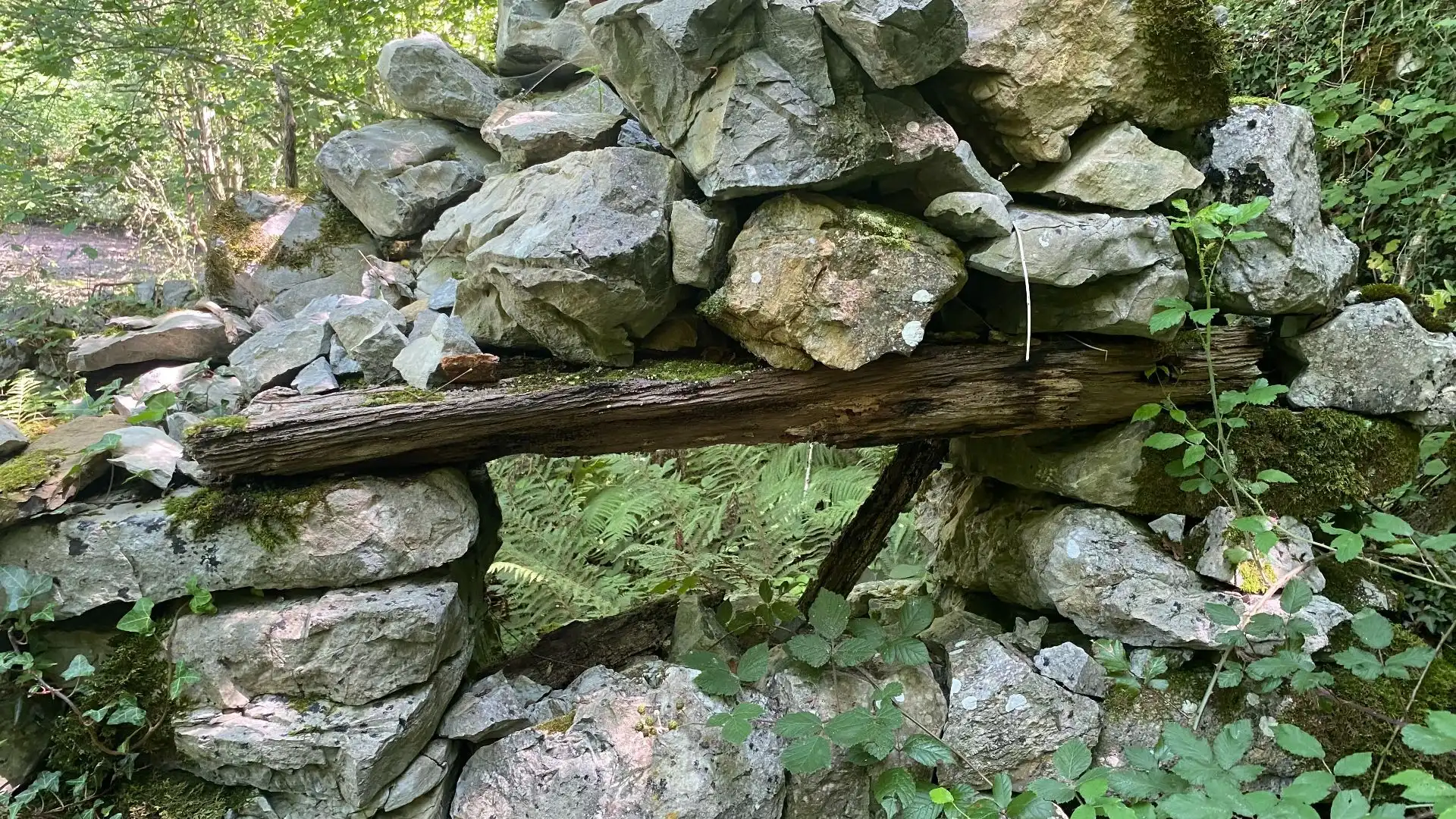 Terreno rustico in vendita a SEGÜENCO, imagen 35