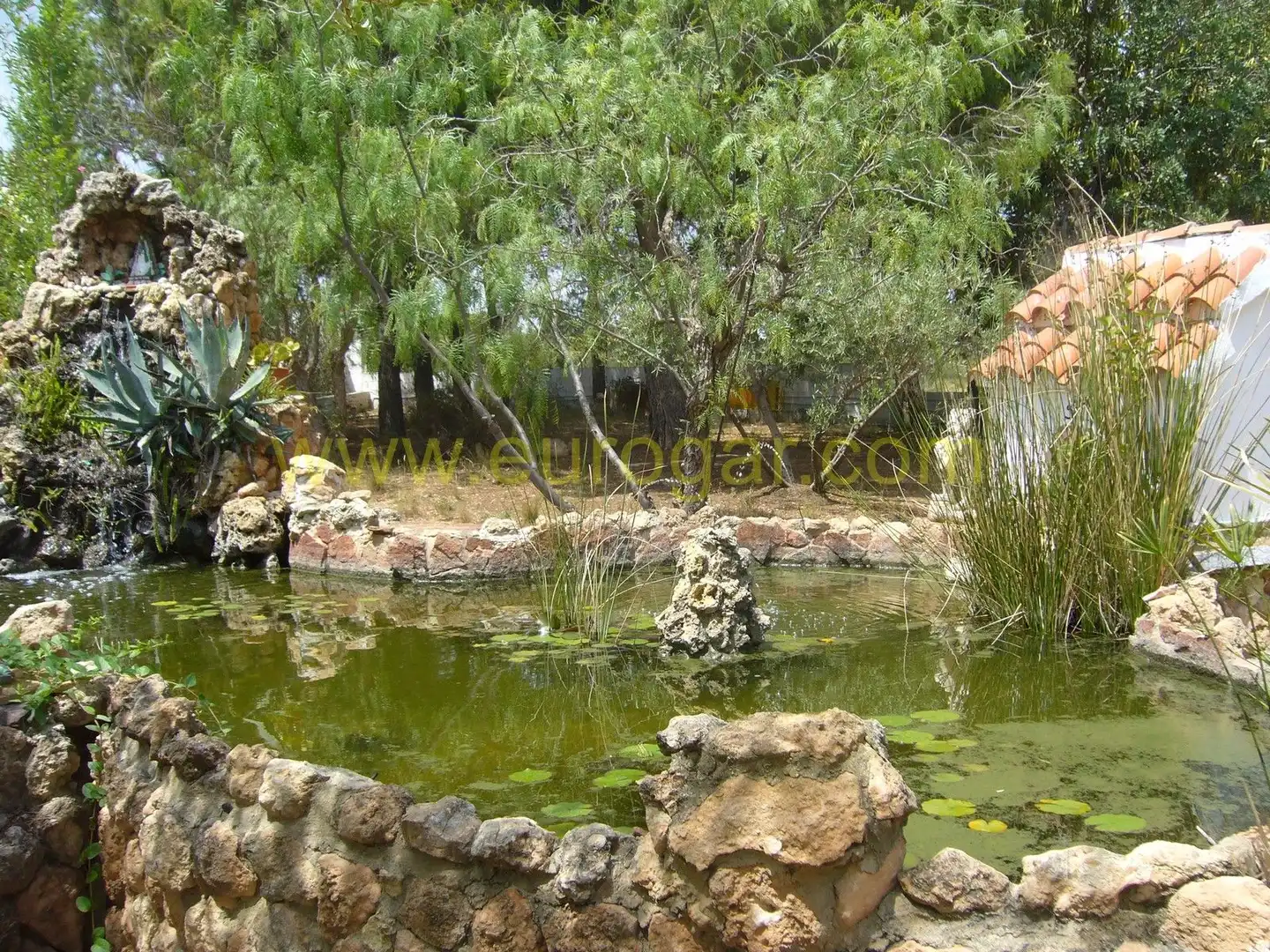 Jardí de Casa o xalet en venda en Chiva amb Jardí privat, Terrassa i Traster