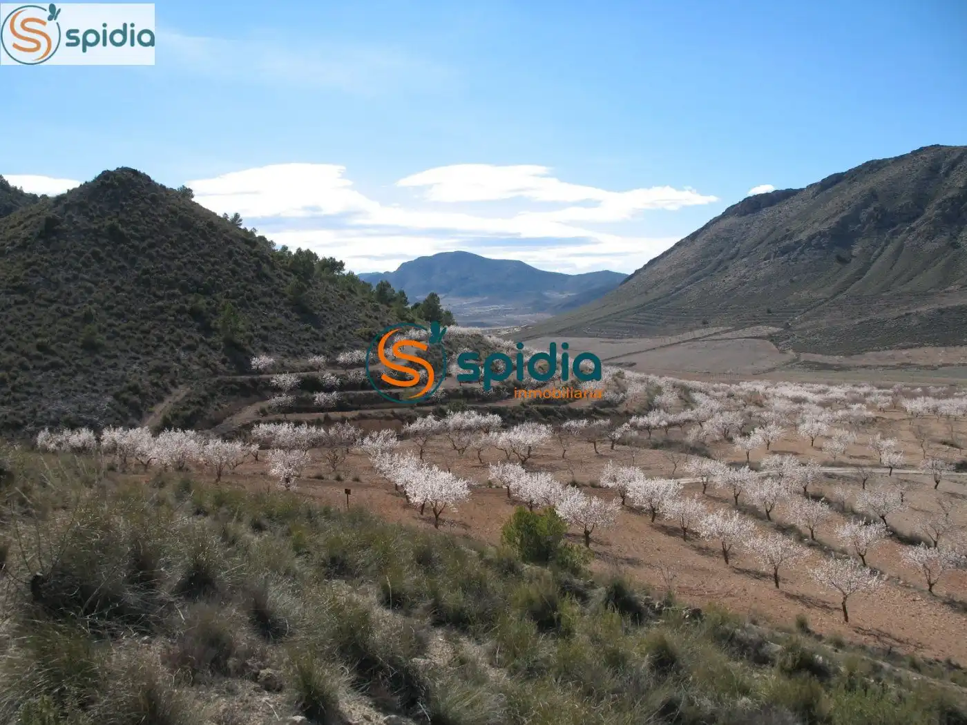 Residential land for sale in Pedanías Norte, imagen 6