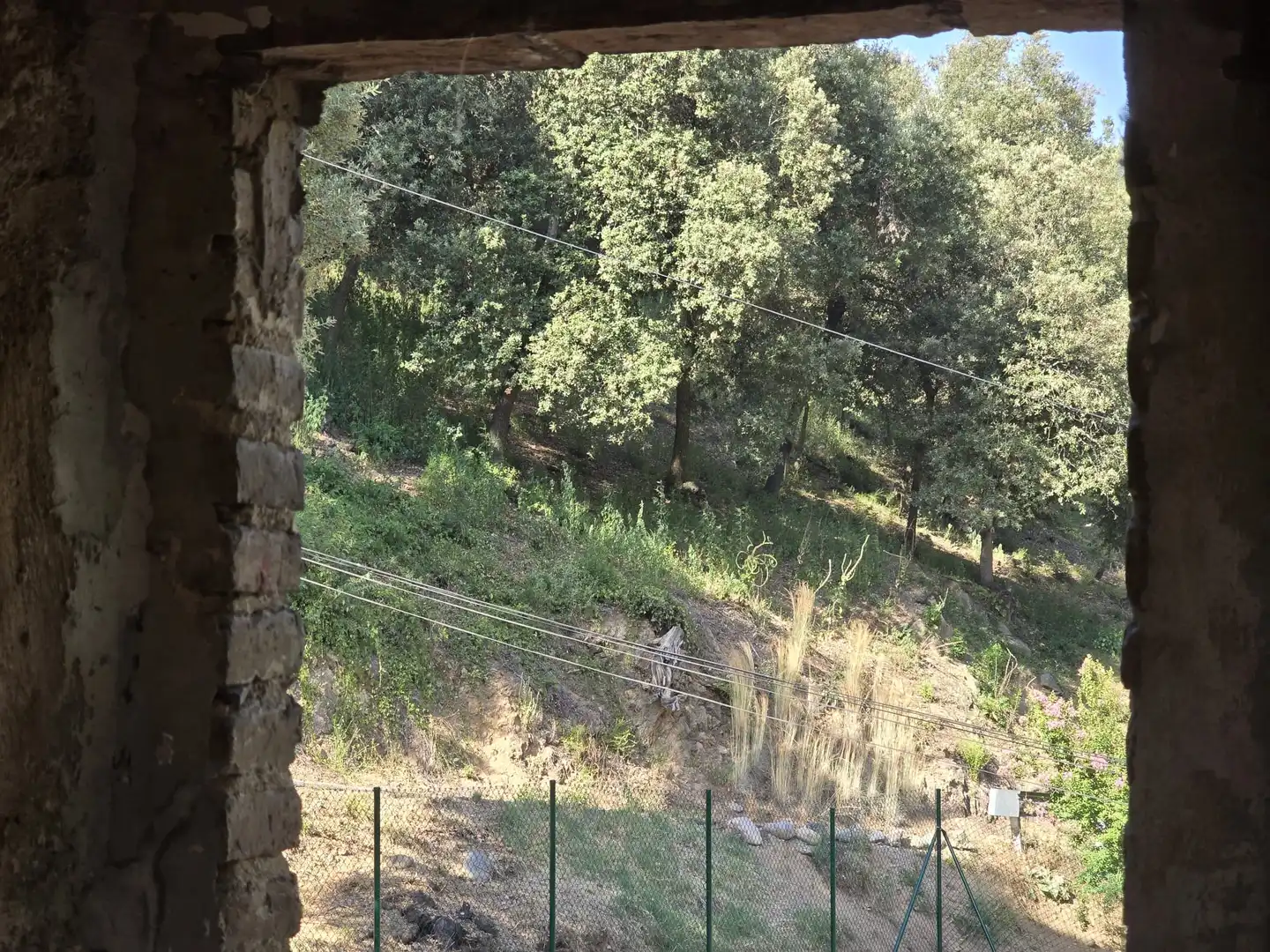 Casa rustica in vendita a Sant Gregori, imagen 25