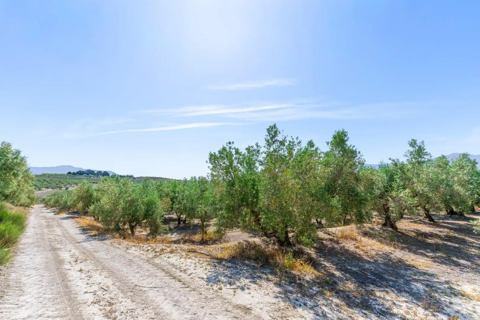 Terreno en venta en Tíjola