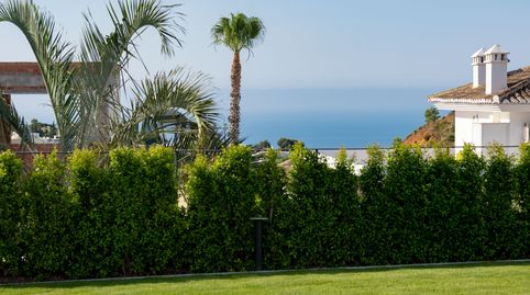 Foto 2 de Casa o chalet en venta en El Faro de Calaburra - Chaparral, Mijas