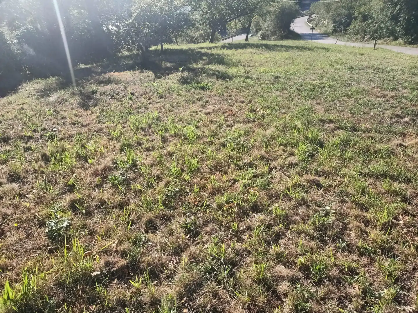 Terrain rustique à vendre à Barrio Cenero Urbano 10A, imagen 9