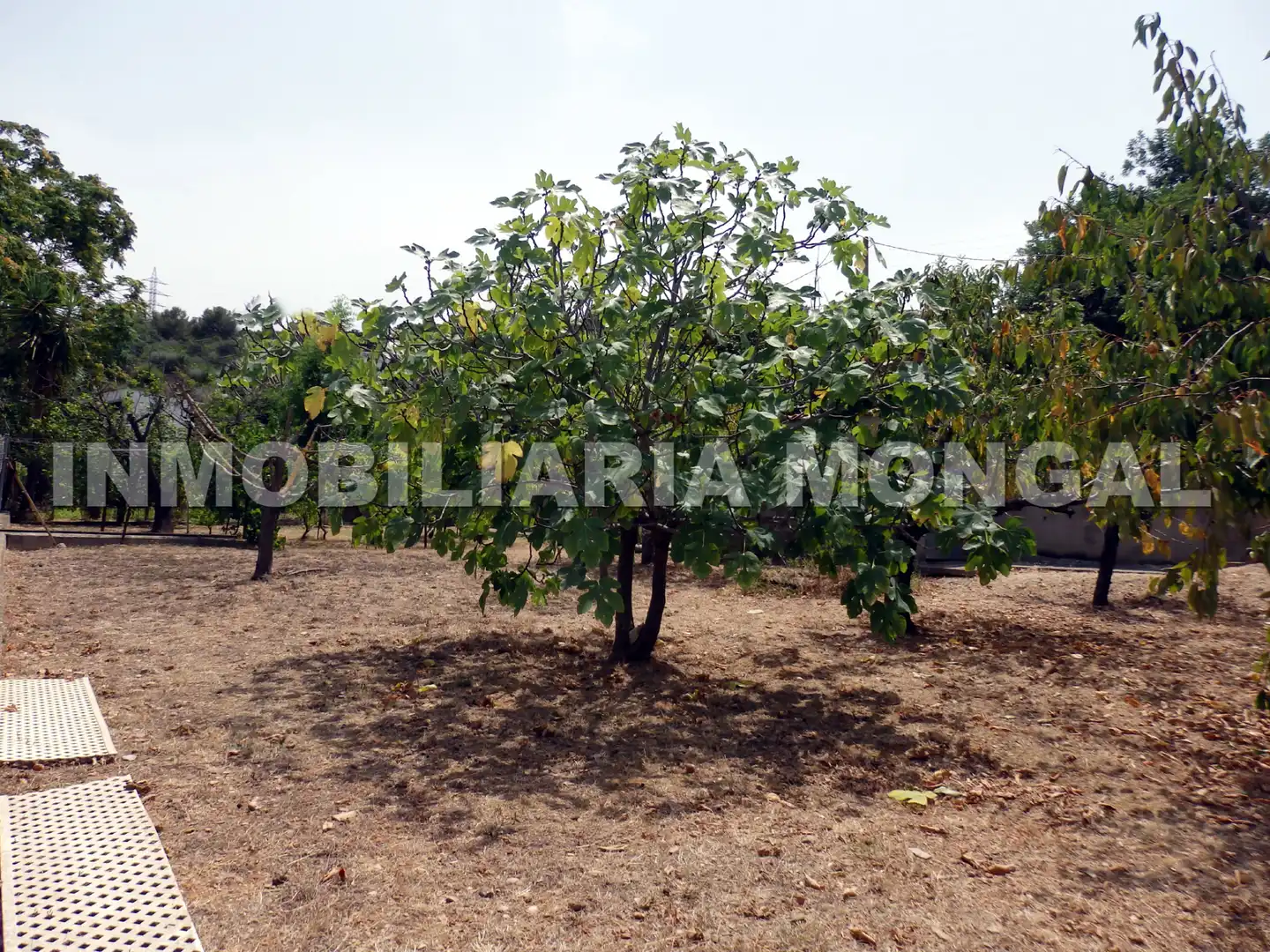 Terreny residencial en venda a Carrer de Can Paulet, imagen 7