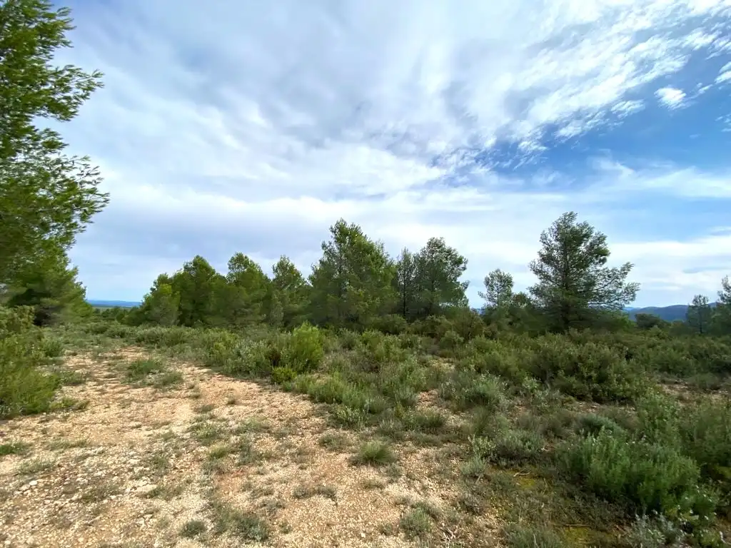 Terreno residencial en venta en 7, imagen 2