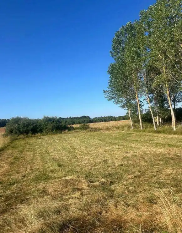 Terreno en venta en Almanza