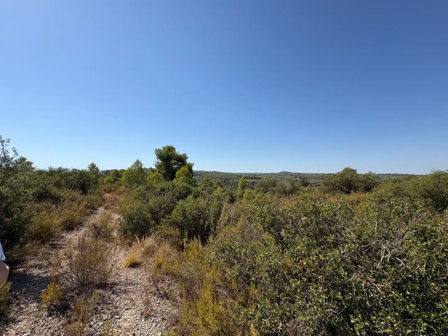 Terreno rustico in vendita a Cervià de Les Garrigues, imagen 24