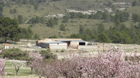 Exclusiva finca rústica de ensueño con infinitas posibilidades, immagine 2