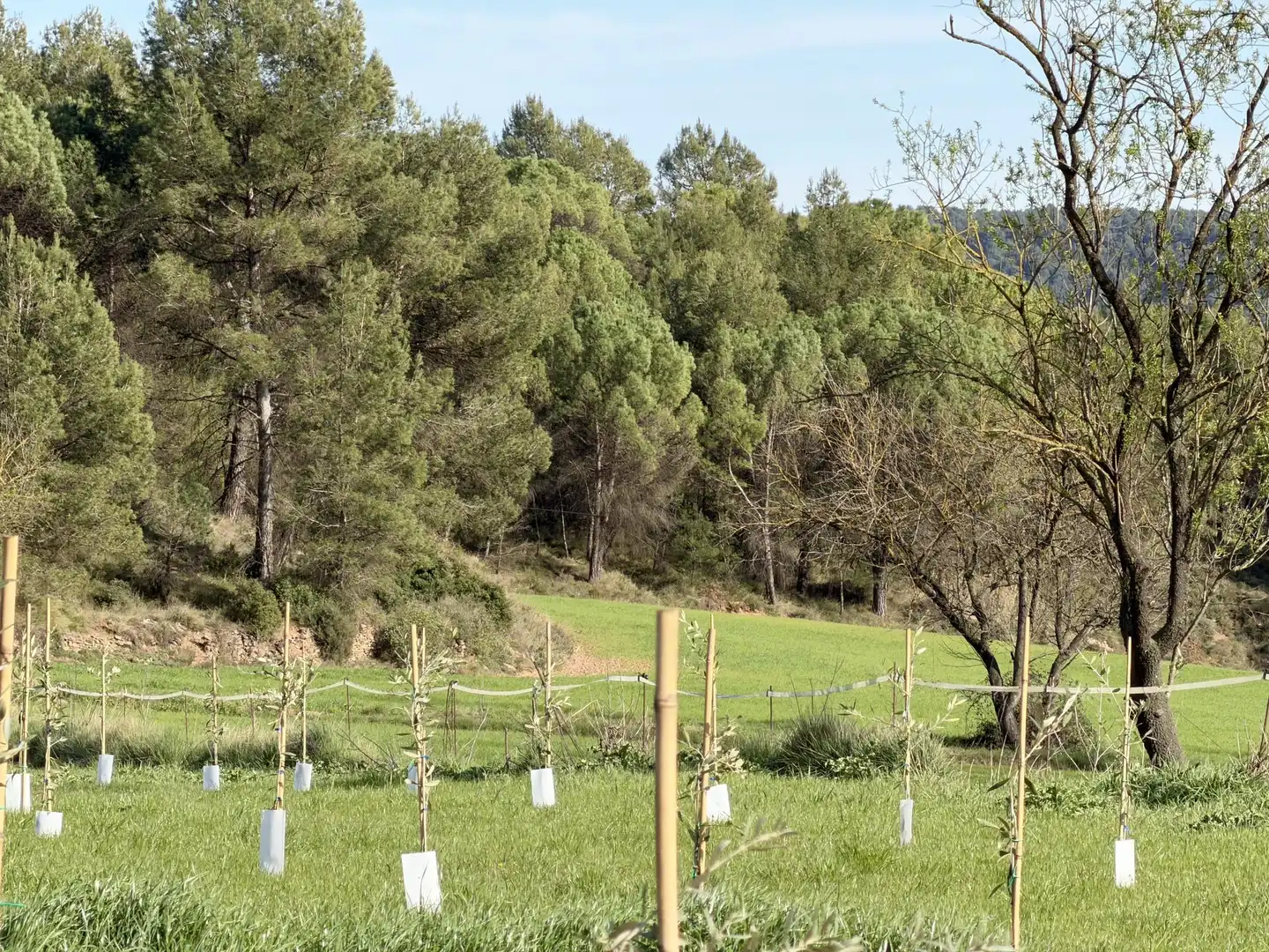 Terrenys i solars en venda a Balsareny, imagen 17